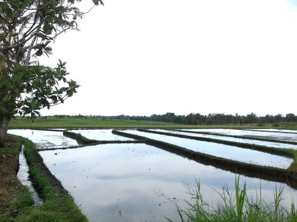 Villa Paz Bali Canggu Zewnętrze zdjęcie